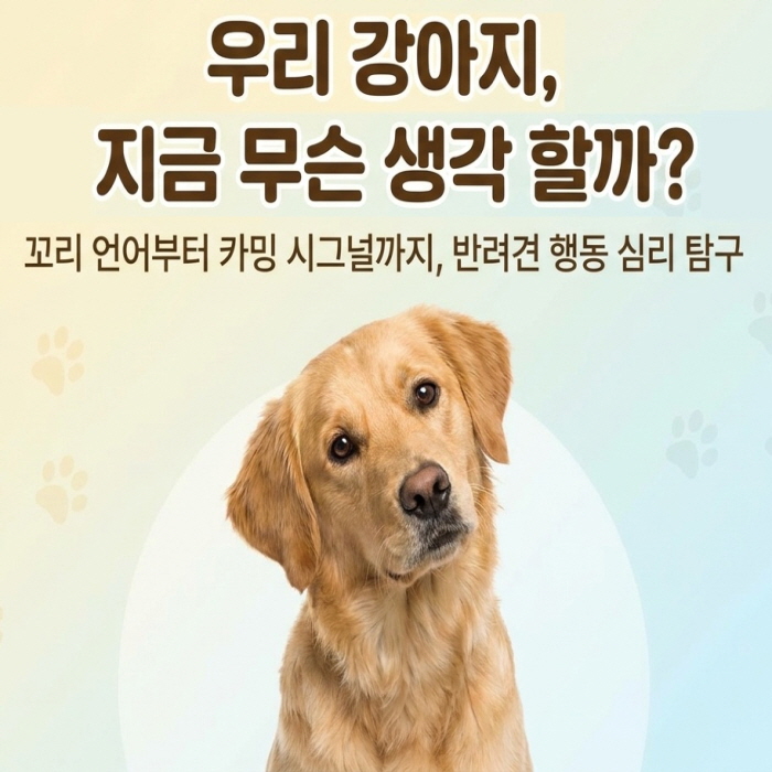 7월. 반려동물 행동과 심리
