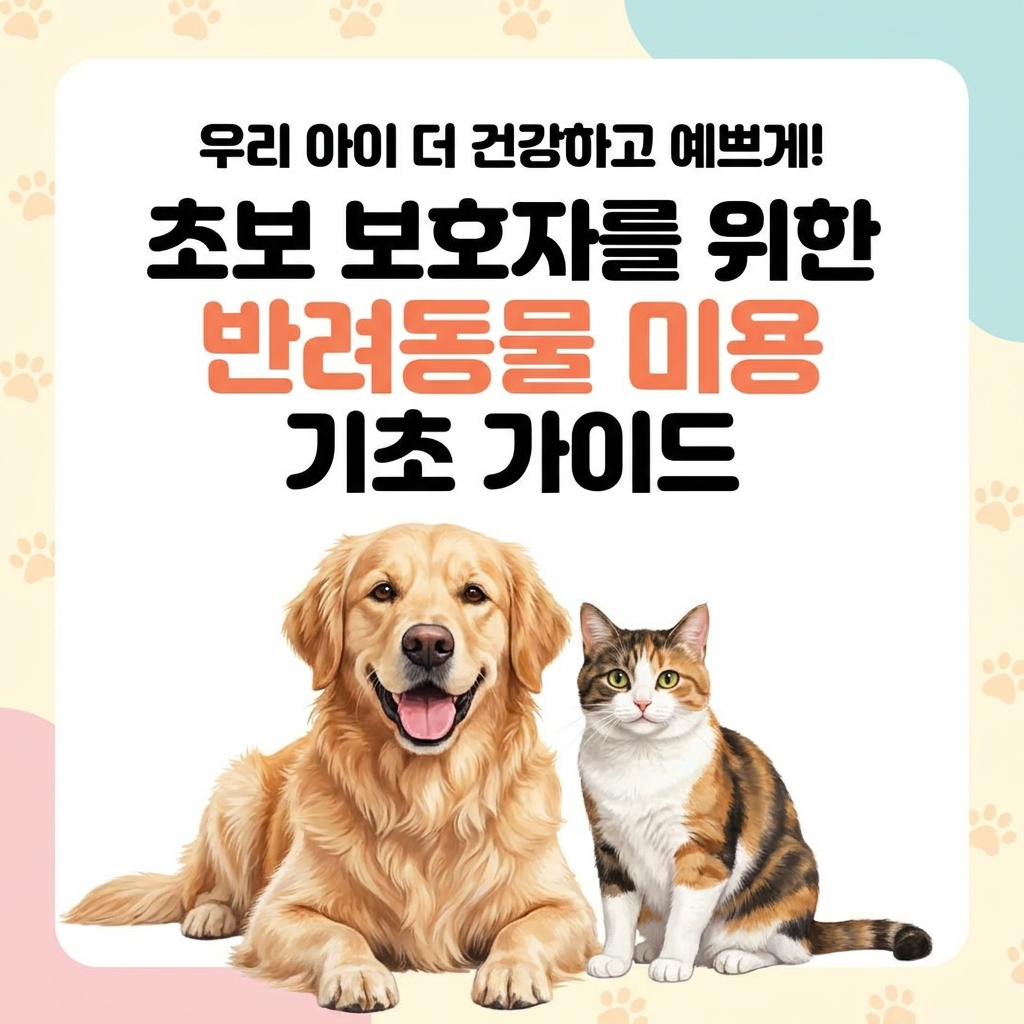 9월. 반려동물 미용