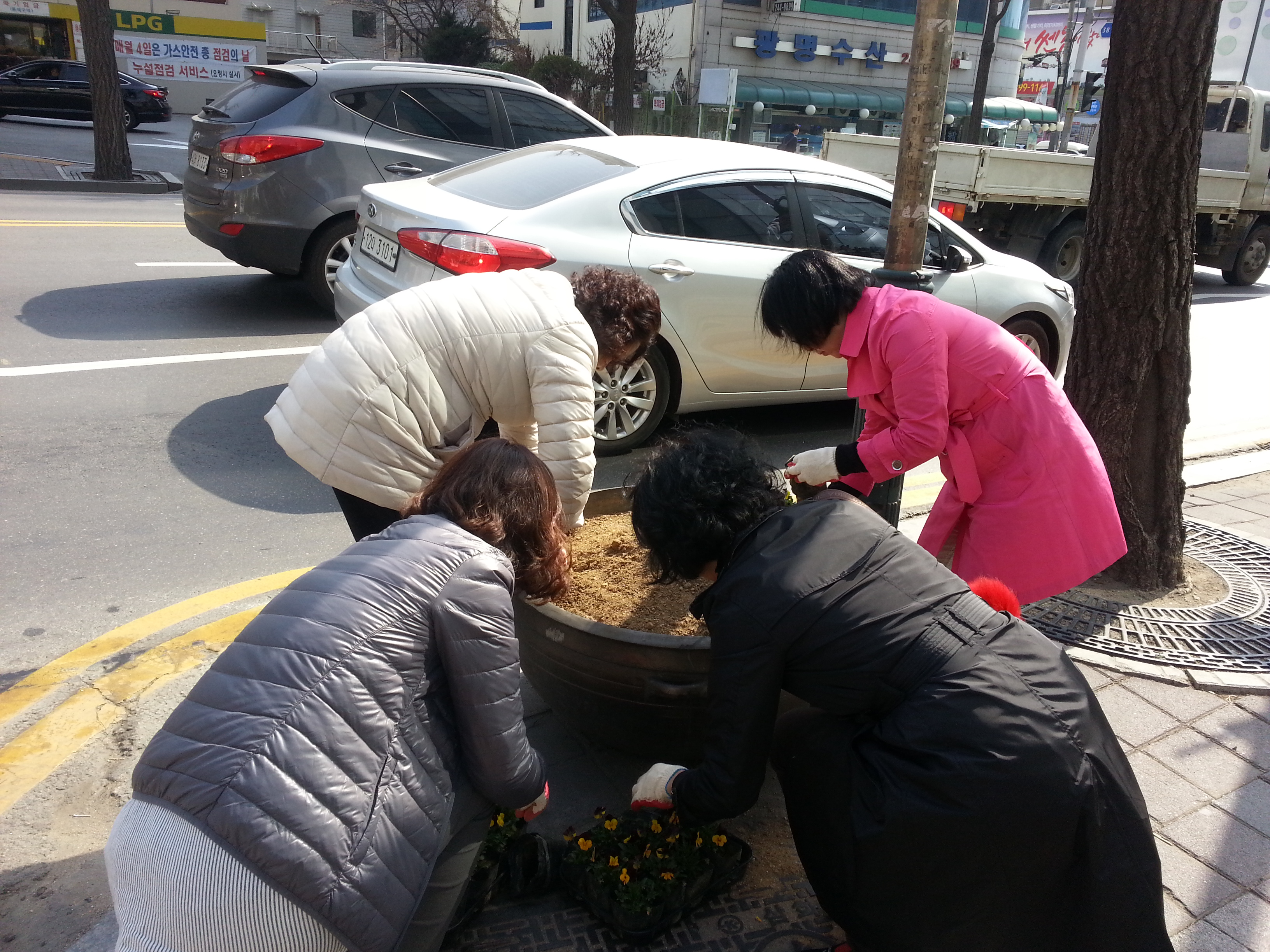 봄꽃식재3.jpg