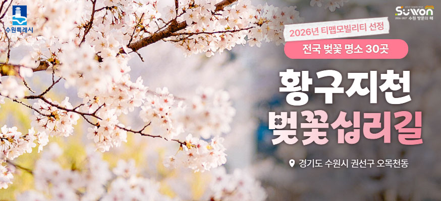 수원특례시    2026년 티맵모빌리티 선정  전국 벚꽃 명소 30곳  황구지천 벚꽃십리길    경기도 수원시 권선구 오목천동